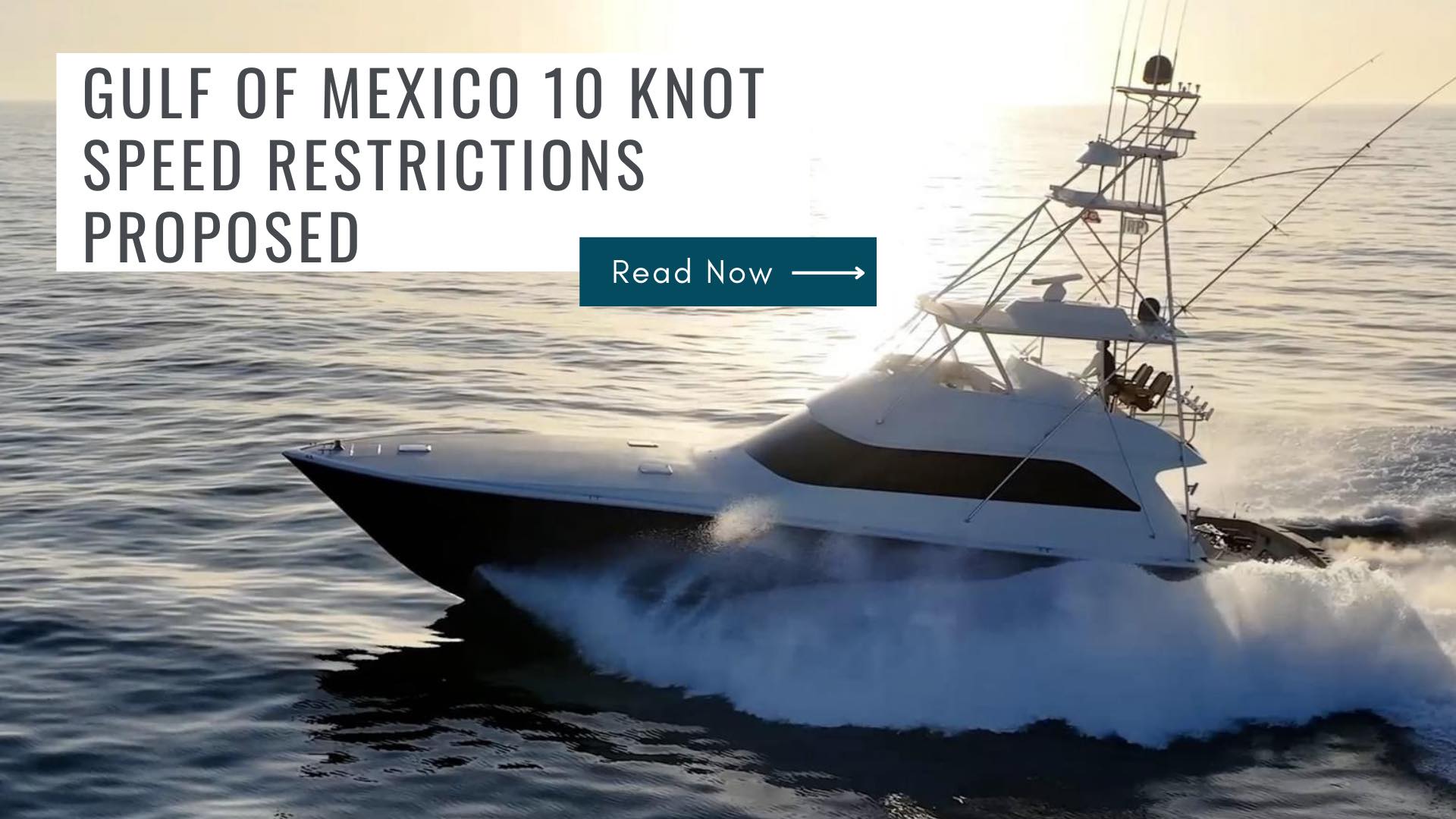 Another 10-Knot Speed Rule Proposed For The Gulf Of Mexico
