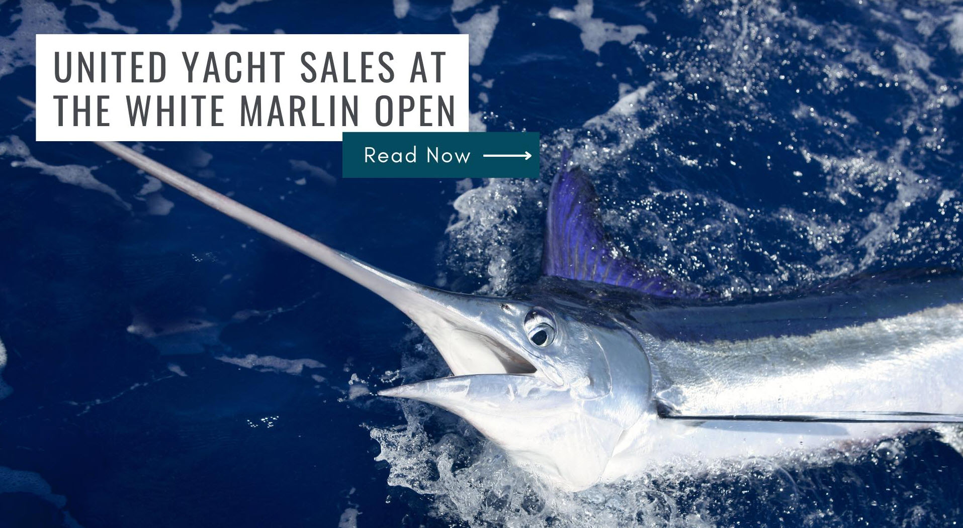 United Yacht Sales Sponsoring, Fishing The 2023 White Marlin Open